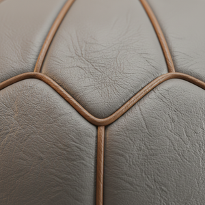 Stitching Macro Detail